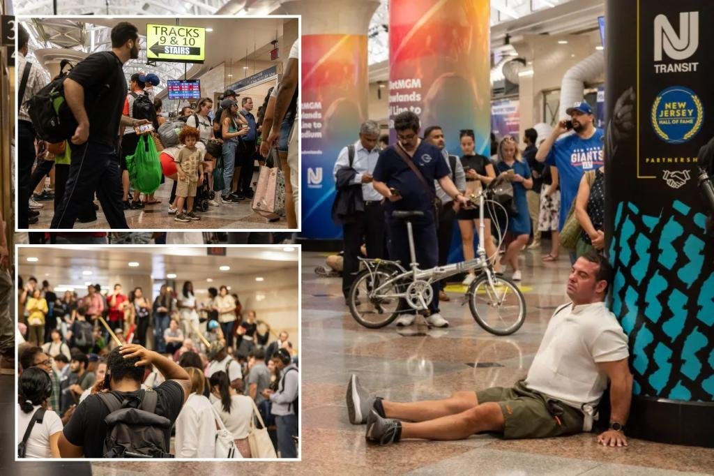 Train service in and out of New York's Penn Station was suspended during the evening rush